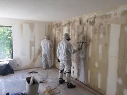 Why You Should Choose Our Mold Remediation Services in Yoakum, TX